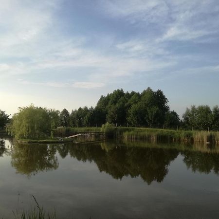 Villa Agrowczasy Nad Stawem Gartatowice Esterno foto