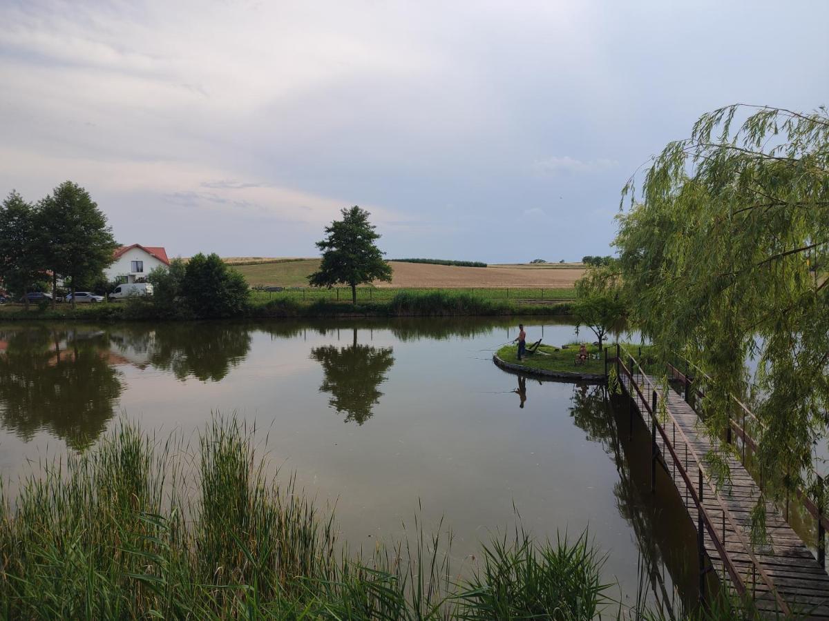 Villa Agrowczasy Nad Stawem Gartatowice Esterno foto