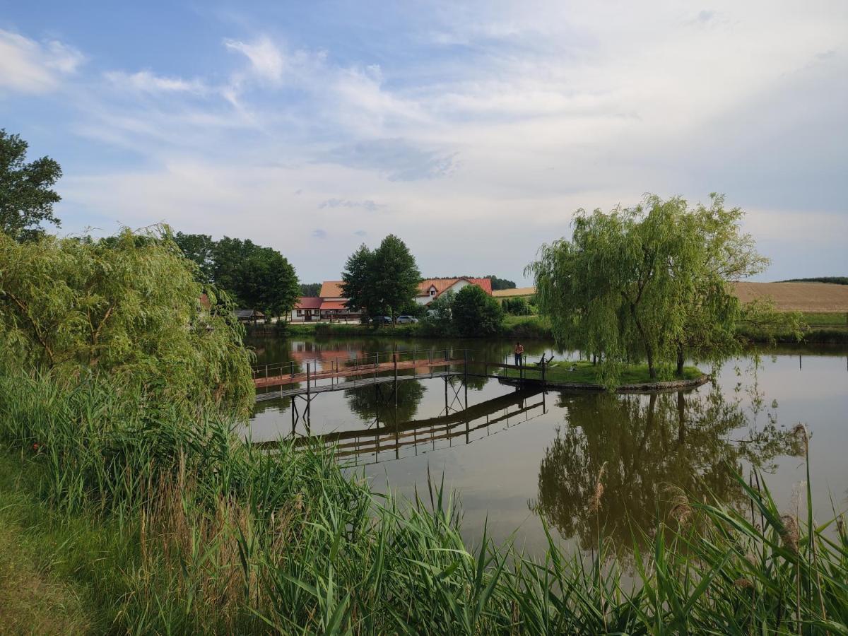 Villa Agrowczasy Nad Stawem Gartatowice Esterno foto