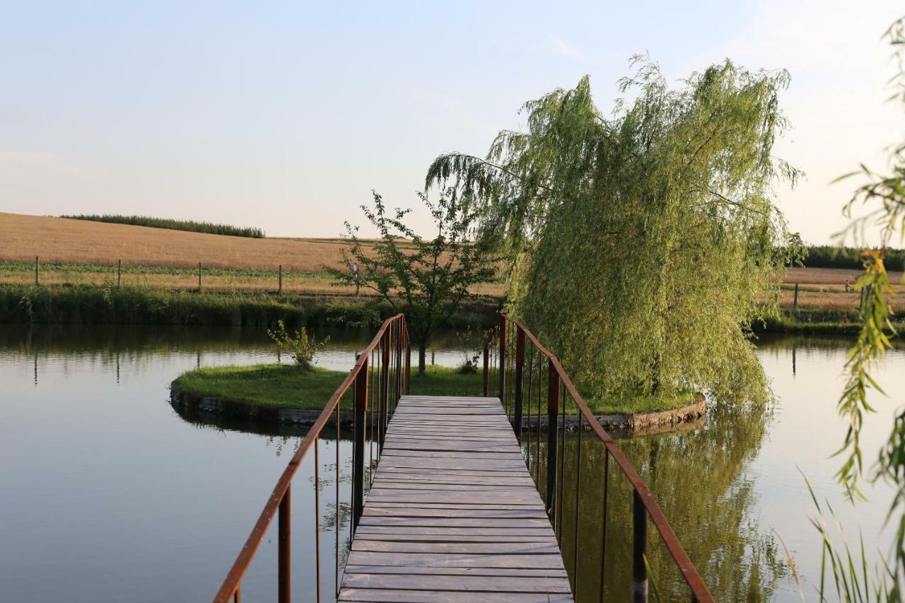 Villa Agrowczasy Nad Stawem Gartatowice Esterno foto