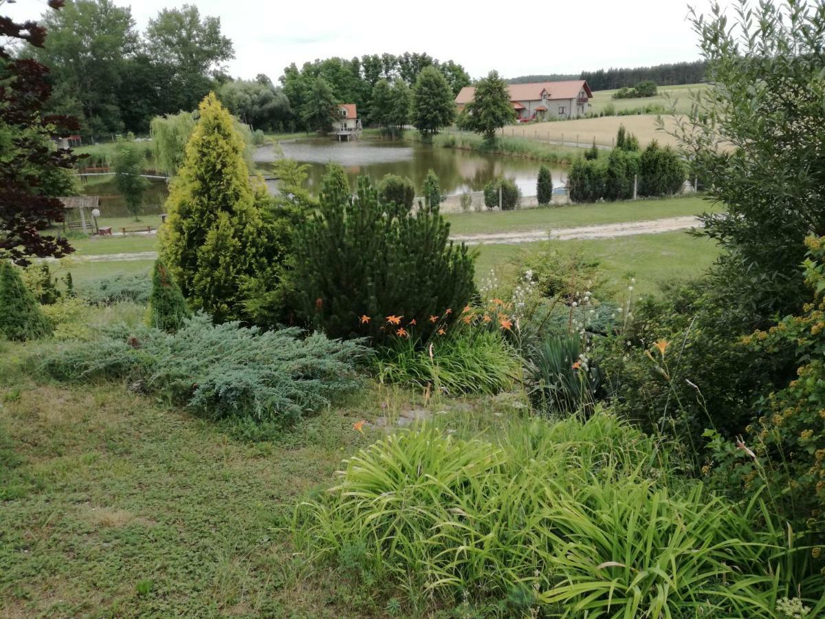 Villa Agrowczasy Nad Stawem Gartatowice Esterno foto