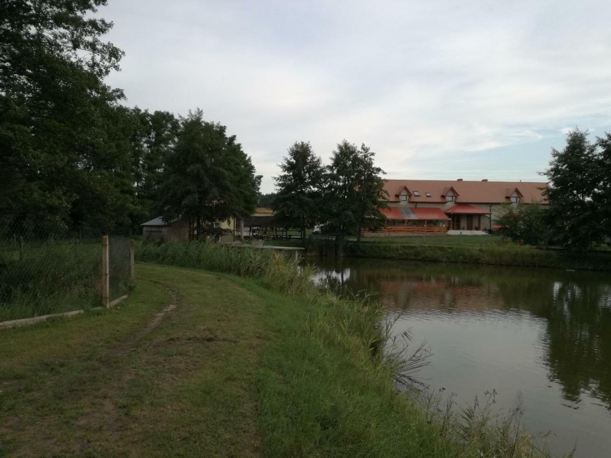 Villa Agrowczasy Nad Stawem Gartatowice Esterno foto